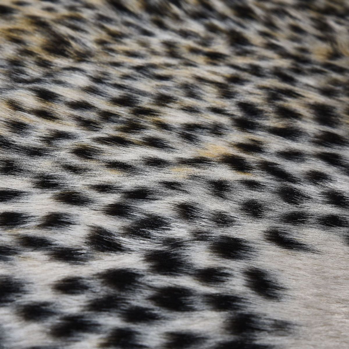 Tapete Leopardo - Minimalist House LTDA