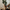 Plantas na Decoração: adicione beleza e frescor ao seu ambiente.