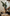 Plantas na Decoração: adicione beleza e frescor ao seu ambiente.