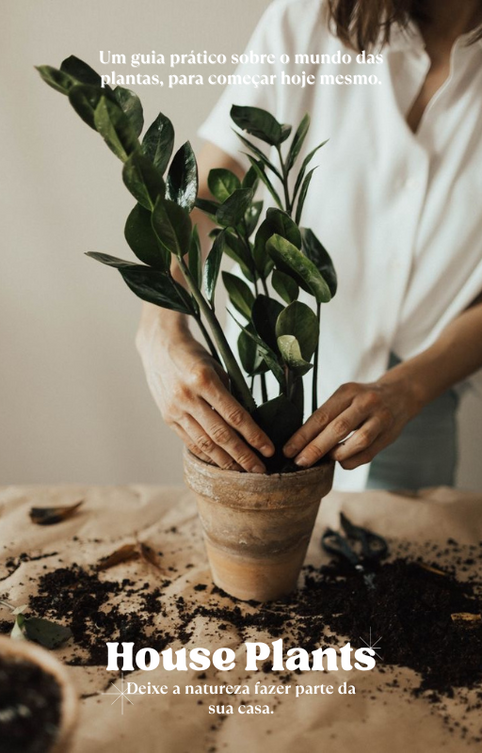 Plantas na Decoração: adicione beleza e frescor ao seu ambiente.