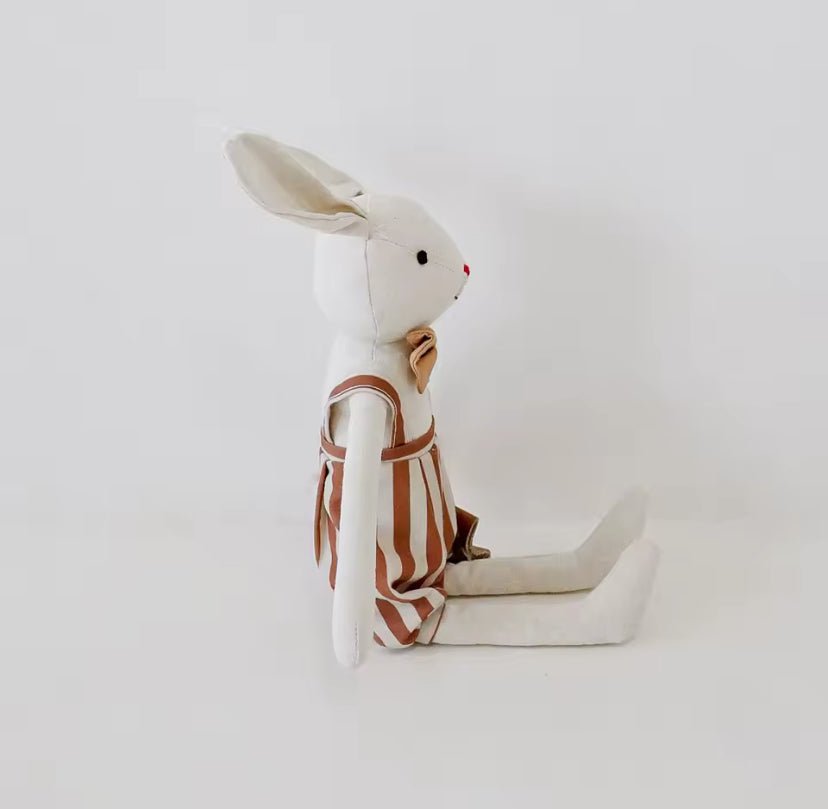 Coelho de Pelucia - Joaquim