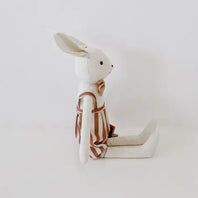 Coelho de Pelucia - Joaquim