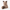 Urso de Pelucia Guaxinim
