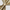 Anel de guardanapo - Folha 12Pcs - Minimalist House LTDA