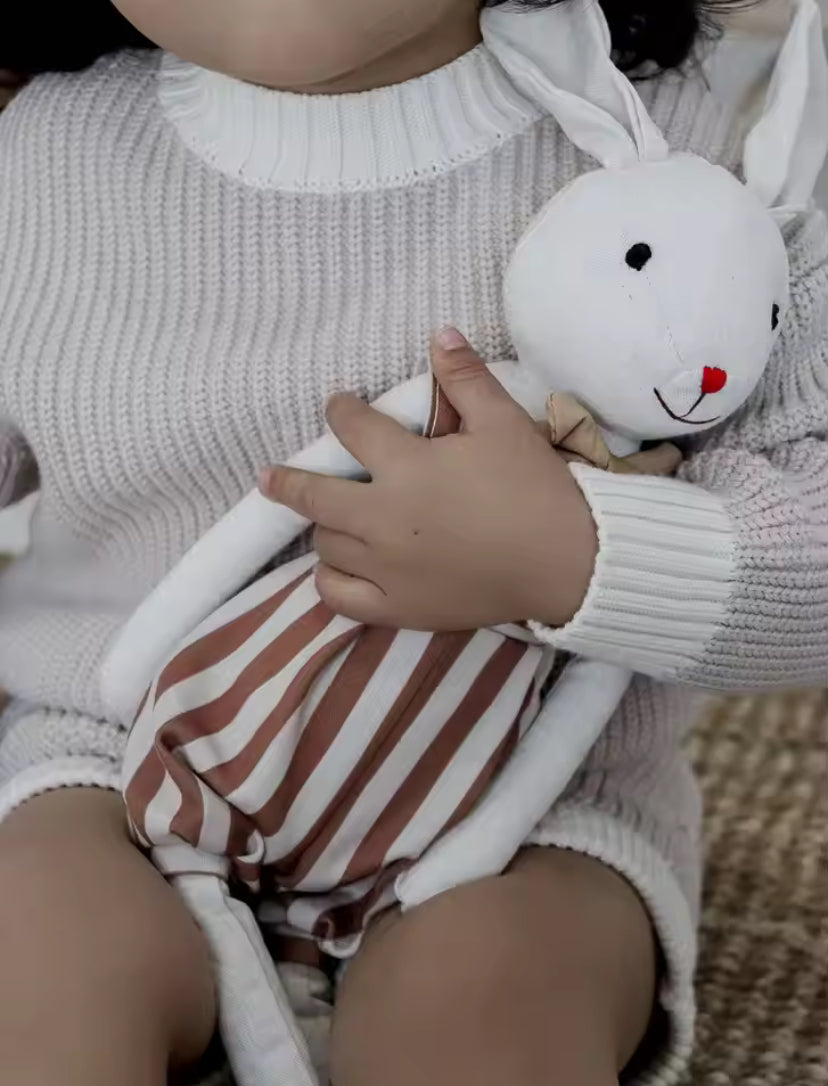 Coelho de Pelucia - Joaquim