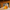 Meleira 500ml Nectar - Minimalist House LTDA