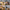 Luminaria Cogumelo Madeira - Minimalist House LTDA