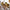 Medidores Vintage - 4pcs - Minimalist House LTDA