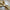 Anel de guardanapo - Folha 12Pcs - Minimalist House LTDA