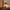 Luminaria Cogumelo Madeira - Minimalist House LTDA
