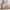 Manta Tassel - Home Decor - Minimalist House LTDA