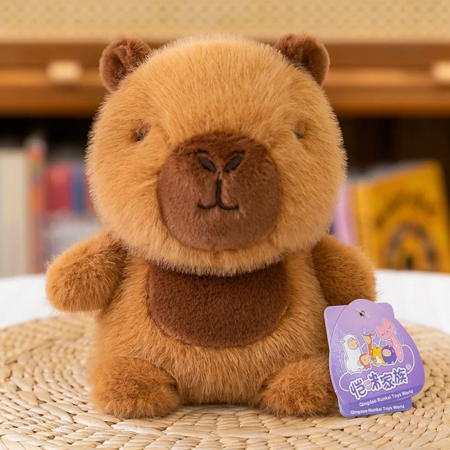 Bichinhos de Pelucia - Dream Kitty