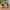 Bolsa wood infantil - Cesto Rattan - Minimalist House LTDA