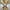 Anel de guardanapo - Folha 12Pcs - Minimalist House LTDA