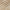 Manta Home e Decor - Cream - Minimalist House LTDA