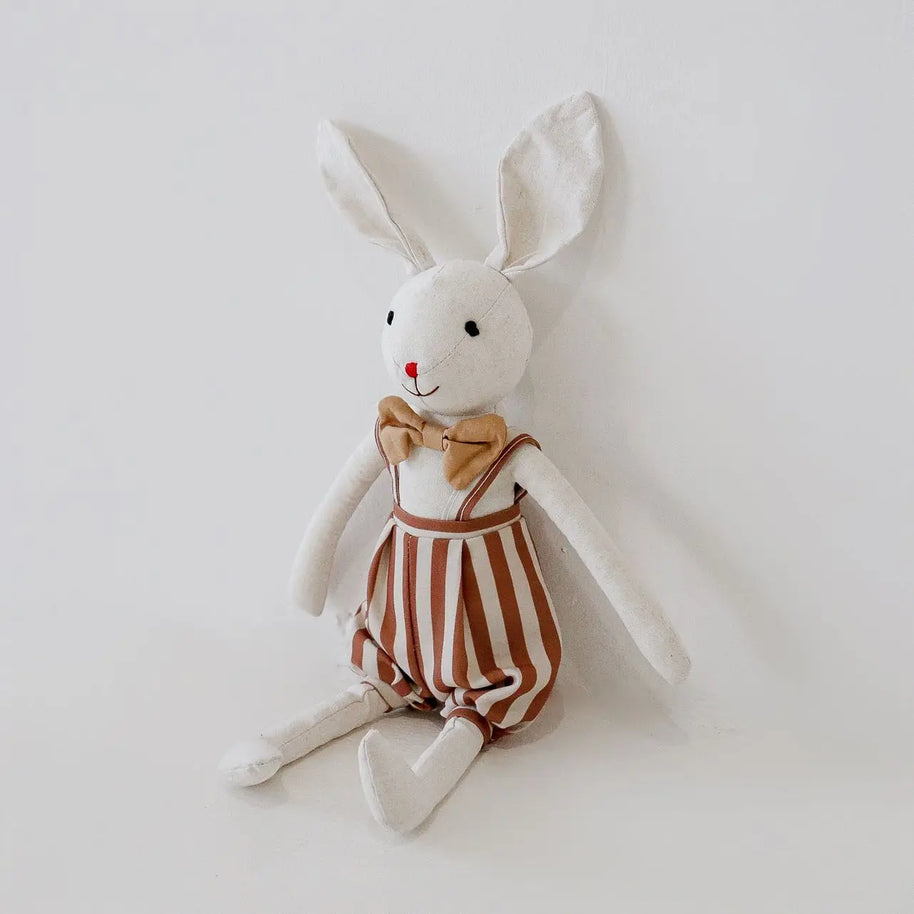 Coelho de Pelucia - Joaquim