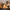Luminaria Cogumelo Madeira - Minimalist House LTDA