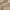 Manta Home e Decor - Cream - Minimalist House LTDA