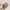 Cesto de rattan - Casinha Baby - Minimalist House LTDA