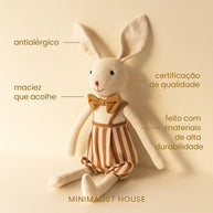 Coelho de Pelucia - Joaquim