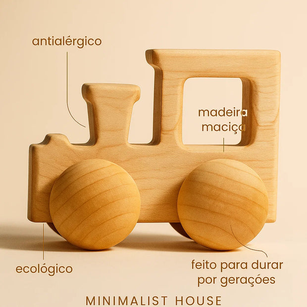 Miniaturas em madeira - CARROS