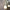 Pendente GOLD - Minimalist House LTDA