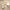 Pendente GOLD - Minimalist House LTDA