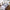 Guardanapo Square - 12pcs - Minimalist House LTDA