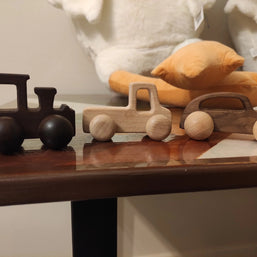 Miniaturas em madeira - CARROS - Minimalist House LTDA