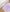 Tapete - SOUL PURPLE - Minimalist House LTDA